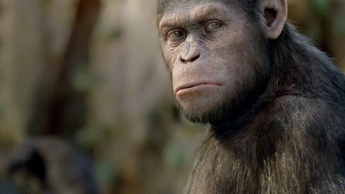 Rise of the Planet of the Apes - Sự Trỗi Dậy Của Hành Tinh Khỉ - Hình 1