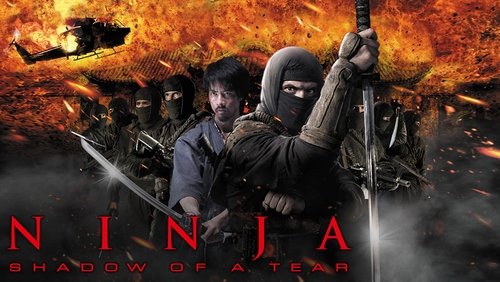 Ninja: Shadow of a Tear - Ninja 2: Ninja Báo Thù - Hình 3