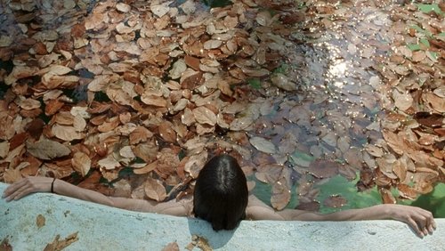 Y Tu Mamá También | And Your Mother Too - Vào Đời - Hình 2