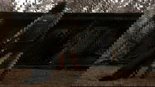 Evil Dead - Ma Cây - Hình 1