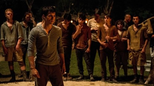 The Maze Runner - Giải Mã Mê Cung - Hình 4