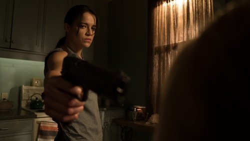 The Assignment - Sát Thủ Báo Thù - Hình 2