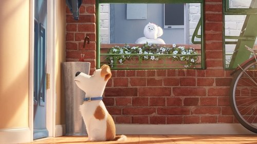 The Secret Life of Pets - Đẳng Cấp Thú Cưng - Hình 1