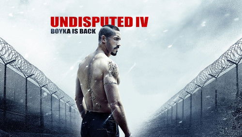 Boyka: Undisputed - Quyết Đấu 4: Boyka - Hình 6