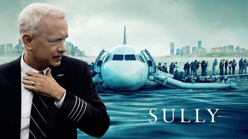 Sully - Cơ Trưởng Sully - Hình 1
