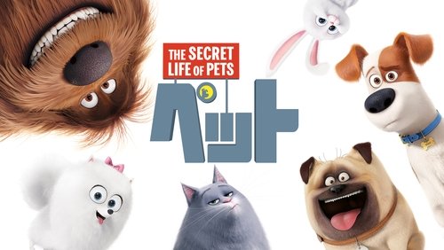 The Secret Life of Pets - Đẳng Cấp Thú Cưng - Hình 5