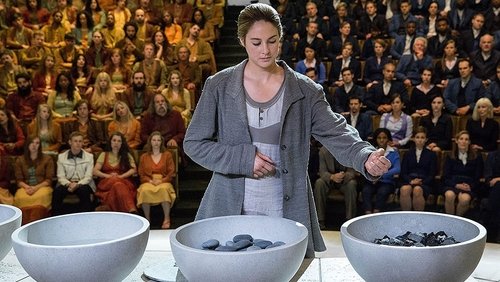 Divergent - Dị Biệt: Những Kẻ Bất Trị - Hình 1