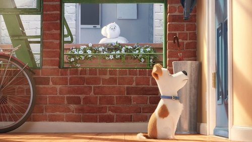 The Secret Life of Pets - Đẳng Cấp Thú Cưng - Hình 2