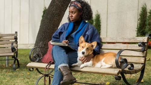 A Dog's Purpose - Mục Đích Sống Của Một Chú Chó - Hình 3