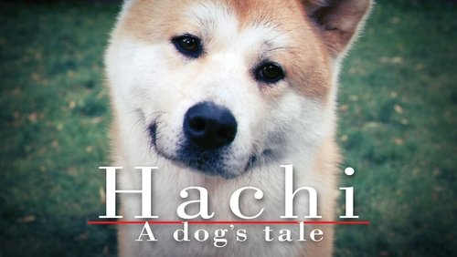 Hachi: A Dog's Tale - Hachiko Chú Chó Trung Thành - Hình 3
