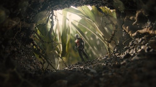 Ant-Man - Người Kiến - Hình 3