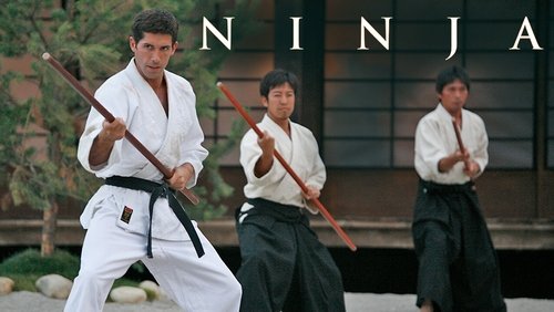 Ninja - Ninja - Hình 4