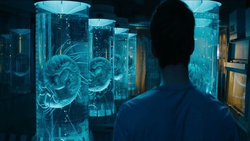 Maze Runner: The Scorch Trials - Giải Mã Mê Cung 2: Thử Nghiệm Đất Cháy - Hình 6