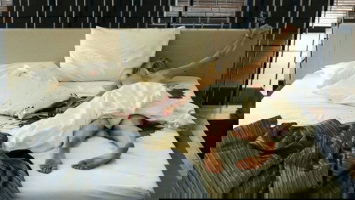 The Loft - Tội Ác Trên Gác Mái - Hình 1