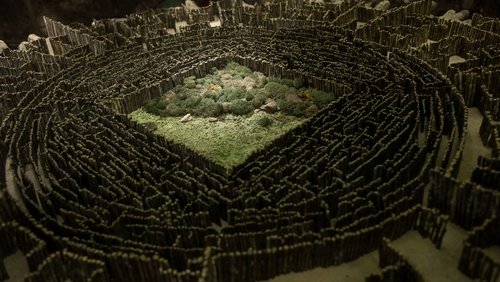 The Maze Runner - Giải Mã Mê Cung - Hình 1