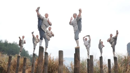 Shaolin - Tân Thiếu Lâm Tự - Hình 2