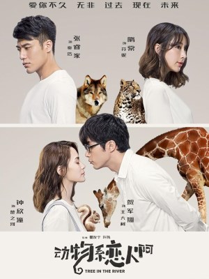 Xem phim Dongwu xi lianren a - Tâm Trạng Khi Yêu 2018 Full HD Vietsub