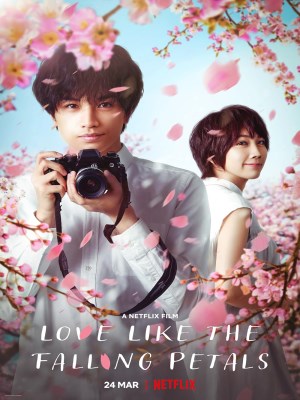 Xem phim Love Like the Falling Petals - Tình Yêu Như Cánh Hoa Rơi 2022 Full HD Vietsub