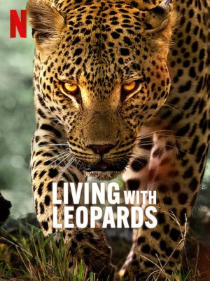 Xem phim Living with Leopards - Sống Chung Với Loài Báo 2024 Full HD Vietsub