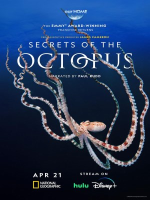 Xem phim Secrets of the Octopus - Bí Mật Của Bạch Tuộc 2024 Full HD Vietsub