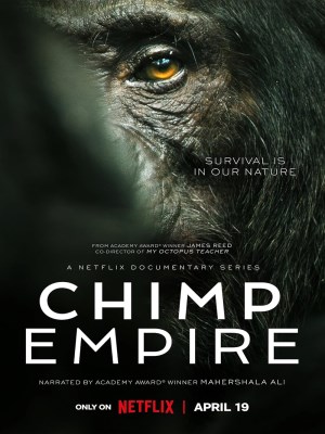 Xem phim Chimp Empire - Đế Chế Tinh Tinh 2023 Full HD Vietsub