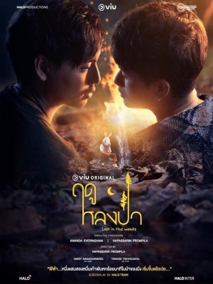 Xem phim Lost in the Woods - Mùa Lạc Trong Rừng 2025 Full HD Vietsub