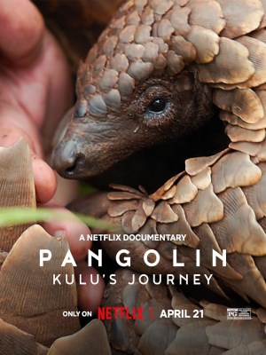 Xem phim Pangolin: Kulu's Journey - Loài Tê Tê: Hành Trình Của Kulu 2025 Full HD Vietsub