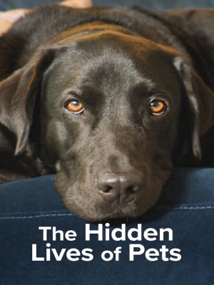 Xem phim The Hidden Lives of Pets - Cuộc Sống Bí Mật Của Thú Cưng 2022 Full HD Vietsub