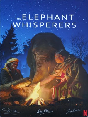 Xem phim The Elephant Whisperers - Người Chăm Voi 2022 Full HD Vietsub