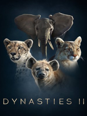 Xem phim Dynasties II - Dynasties II 2022 Full HD Vietsub