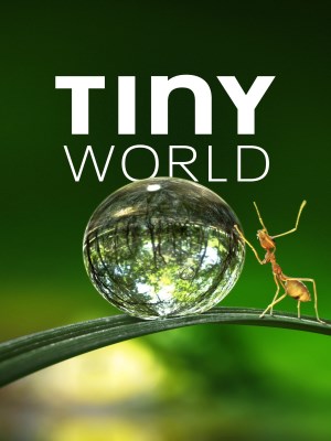 Xem phim Tiny World Season 1 - Thế Giới Siêu Nhỏ (Mùa 1) 2020 Full HD Vietsub