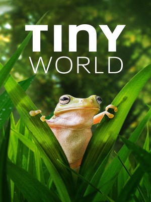 Xem phim Tiny World Season 2 - Thế Giới Siêu Nhỏ (Mùa 2) 2021 Full HD Vietsub