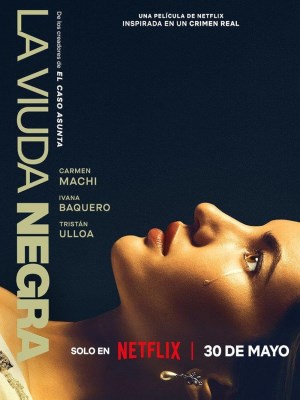 Xem phim A Widow's Game - Trò Chơi Của Một Góa Phụ 2025 Full HD Vietsub