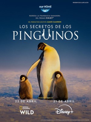 Xem phim Secrets of the Penguins - Bí Mật Của Loài Chim Cánh Cụt 2025 Full HD Vietsub