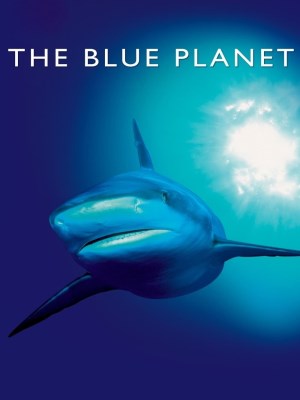 Xem phim The Blue Planet - Hành Tinh Màu Xanh Dương 2001 Full HD Vietsub