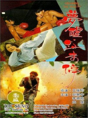 Xem phim Dreaming the Reality - Mộng Tỉnh Huyết Vị Đình 1992 Full HD Vietsub