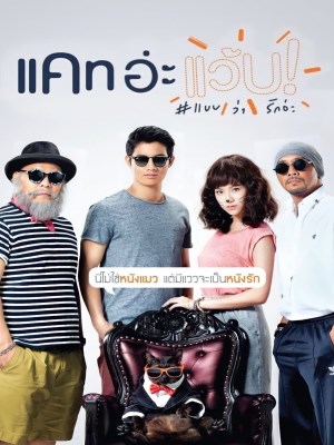 Xem phim Cat a Wabb - Mèo Mai Mối 2015 Full HD Vietsub