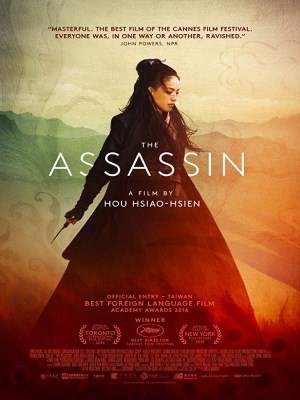 Xem phim The Assassin - Thích Khách Nhiếp Ẩn Nương 2015 Full HD Vietsub