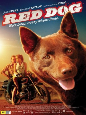 Xem phim Red Dog - Chú Chó Đỏ 2011 Full HD Vietsub