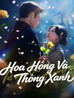 Xem phim Hoa Hong Va Thong Xanh - Hoa Hồng Và Thông Xanh 2026 Full HD Vietsub