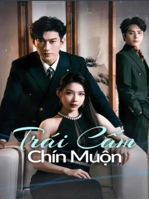 Xem phim Tro Choi Tinh Ai Khong Loi Thoat - Trò Chơi Tình Ái Không Lối Thoát 2026 Full HD Vietsub