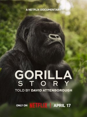 Xem phim A Gorilla Story: Told by David Attenborough - Hành Trình Của Khỉ Đột – Qua Giọng Kể David Attenborough 2026 Full HD Vietsub
