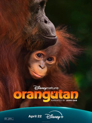 Xem phim Orangutan - Đười Ươi 2026 Full HD Vietsub