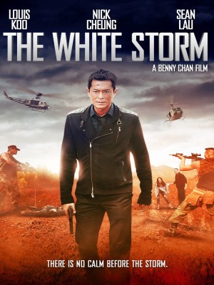 Xem phim The White Storm - Cơn Bão Trắng 2013 Full HD Vietsub