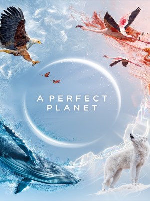 Xem phim A Perfect Planet - Hành Tinh Hoàn Hảo 2021 Full HD Vietsub