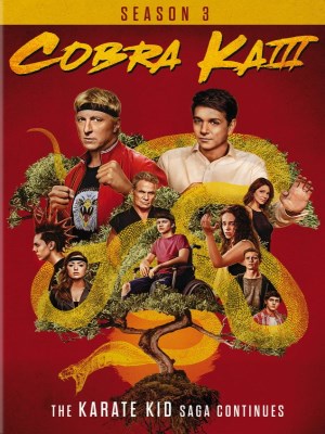Xem phim Cobra Kai Season 3 - Võ Đường Cobra Kai (Mùa 3) 2021 Full HD Vietsub