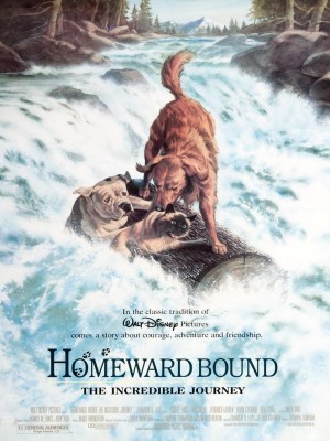 Xem phim Homeward Bound: The Incredible Journey - Đường Về Nhà: Cuộc Hành Trình Mạo Hiểm 1993 Full HD Vietsub