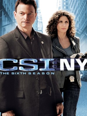 Xem phim CSI: NY Season 6 - CSI: New York (Mùa 6) 2009 Full HD Vietsub