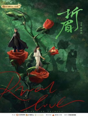 Xem phim Zhe Mei - Tình Địch 2024 Full HD Vietsub