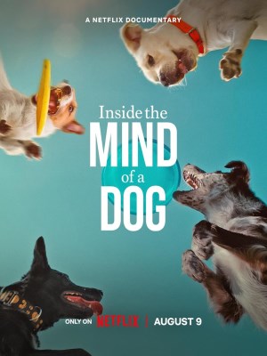Xem phim Inside the Mind of a Dog - Những Chú Chó Nghĩ Gì 2024 Full HD Vietsub